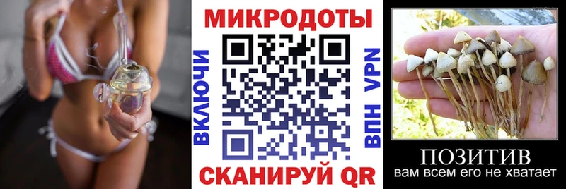 купить наркотик  Суворов  Псилоцибиновые грибы Psilocybine cubensis 